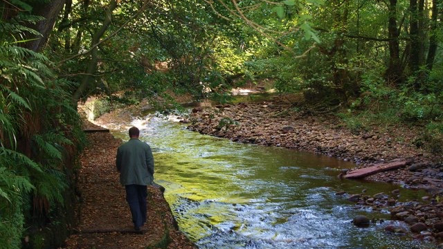 walking through Gelt Woods