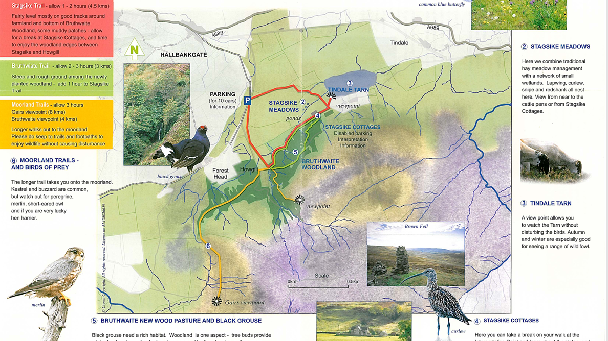 RSPB Geltsdale trail guide 2025 from Wall & Lakes holiday cottage, Cumbria, UK RSPB Geltsdale trail guide 2025 from Wall & Lakes holiday cottage, Cumbria, UK