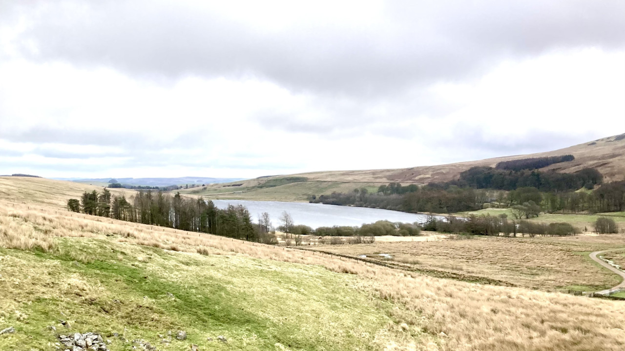 RSPB Geltsdale Tindale Tarn
