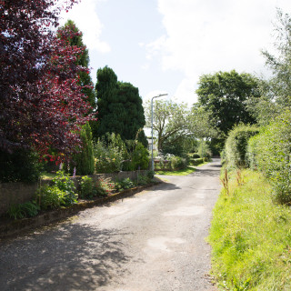 Countryside Lane leading up to Wall and Lakes holiday cottage, Brampton, Cumbria