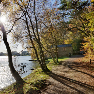 Walks at nearby Talkin Tarn from Wall & Lakes Holiday Cottage, Brampton