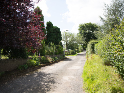 Countryside Lane leading up to Wall and Lakes holiday cottage, Brampton, Cumbria