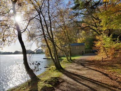Walks at nearby Talkin Tarn from Wall & Lakes Holiday Cottage, Brampton