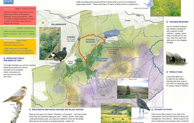RSPB Geltsdale trail guide 2025 from Wall & Lakes holiday cottage, Cumbria, UK RSPB Geltsdale trail guide 2025 from Wall & Lakes holiday cottage, Cumbria, UK