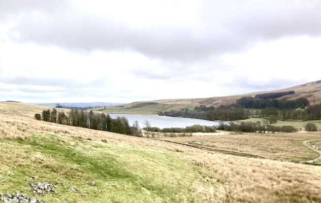 RSPB Geltsdale Tindale Tarn